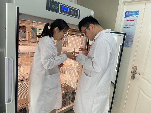 东阿县检验检测中心顺利通过农业农村部全国农作物种子质量检验能力验证，检验检测服务能力再上新台阶