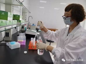 开启快检服务，构筑舌尖安全防火墙